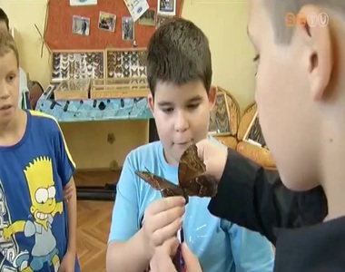 Ifjú rovarászok Ifjú rovarászok