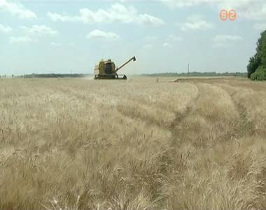 Megkezd�d�tt a b�za betakar�t�sa Vas megy�ben is