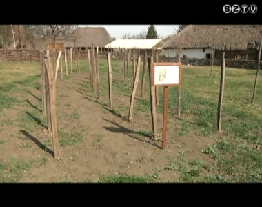 Hamarosan új látványossággal bővül a Vasi Múzeumfalu Hamarosan új látványossággal bővül a Vasi Múzeumfalu