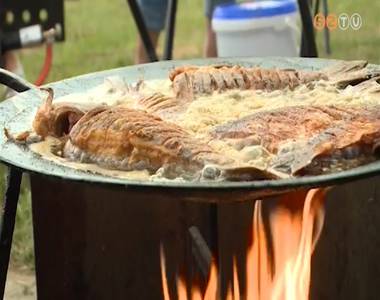 Pinka-v�lgyi Halas Nap