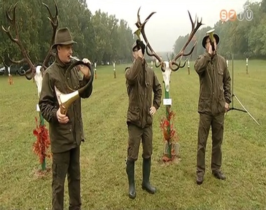 Vas Megyei G�mszarvas Tr�feaszemle