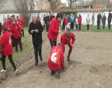 Karit�sz gy�m�lcsprogram