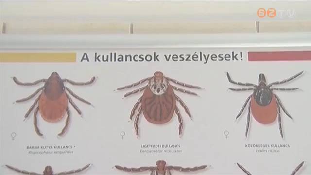 Itt a kullancsszezon Itt a kullancsszezon
