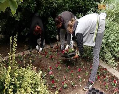 Megkezdte az �szi munk�kat a v�rosi parkfenntart�