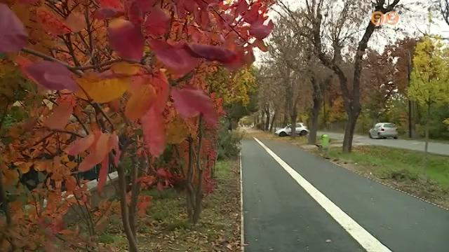Jó ütemben halad a szombathelyi kerékpárutak építése Jó ütemben halad a szombathelyi kerékpárutak építése