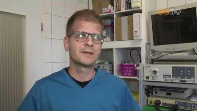 A magas h�m�rs�klet nemcsak az ember, hanem h�zi kedvenceink szervezet�t is megterhelheti