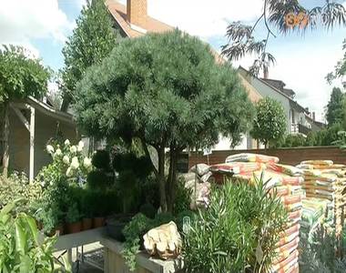 Ne hozzunk haza a k�lf�ldi utaz�sokr�l n�v�nyeket