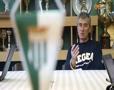 Gy�zni megy a Hali Ny�regyh�z�ra