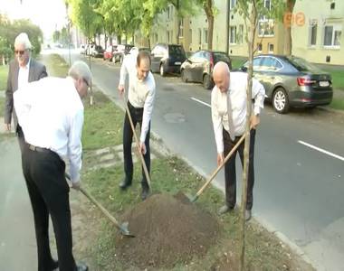 Fa�ltet�s a Bem J�zsef utc�ban