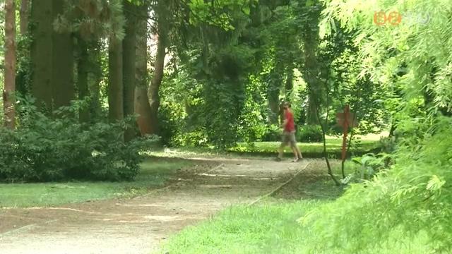 Kevesebb a ltogat a Kmoni Arbortumban