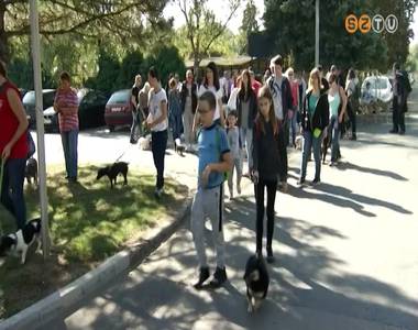 A felel�s �llattart�sra h�vt�k fel a figyelmet