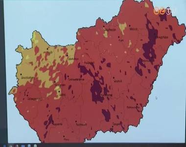 Extrém magas a parlagfű-pollenkoncentráció az országban Extrém magas a parlagfű-pollenkoncentráció az országban