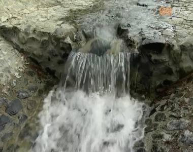 V�zes�s is gazdag�tja mostant�l a Jeli Arbor�tum l�tnival�it