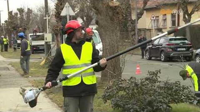 T�bb, mint 3500 f�r�l gondoskodik a Szombathelyi Parkfenntart�si Kft. a t�li metsz�si id�szakban