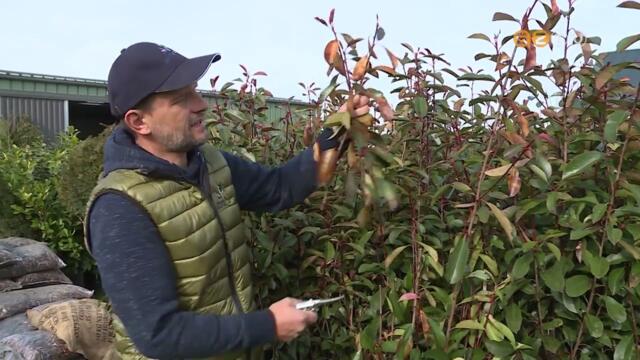 Megkezddtt a munka a kiskertekben
