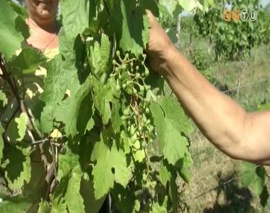 J�lius eleje van, de m�r sz�retelnek