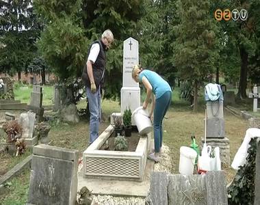 ELhanyagolt s�rok rendbet�tele