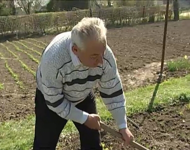 Tavasz a kiskertekben Tavasz a kiskertekben