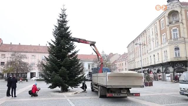 Már áll Szombathely karácsonyfája a Fő téren Már áll Szombathely karácsonyfája a Fő téren