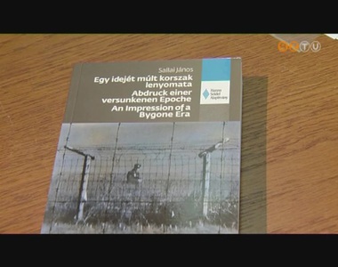 A Vasf�gg�ny t�rt�net�t dolgozza fel Sallai J�nos k�nyve