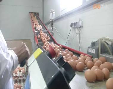 Fert�z�tt toj�sok