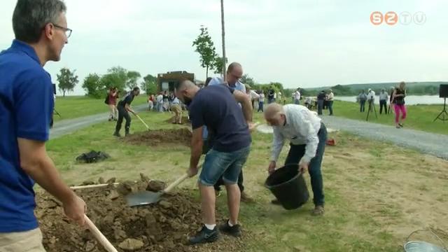 A trianoni béke 101. évfordulójára fát ültet a mérnöki kamara a megye több pontján A trianoni béke 101. évfordulójára fát ültet a mérnöki kamara a megye több pontján