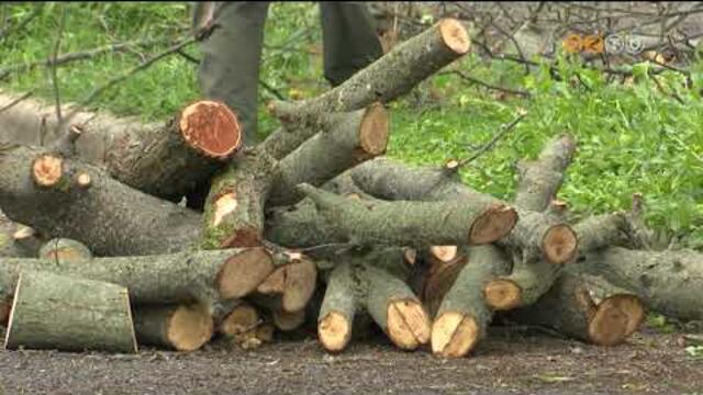 Folytatdott a terletrendezs a KISZ-Szzhold vrosrszen