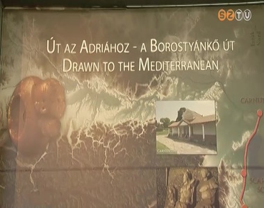 Biológiaórák helyszíne is lehet a legújabb Adria-kiállítás Biológiaórák helyszíne is lehet a legújabb Adria-kiállítás