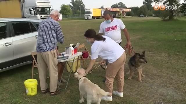 Elkezdődött a szervezett városi eboltás Elkezdődött a szervezett városi eboltás