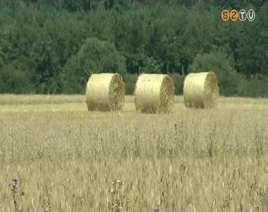 Fagyk�r, j�gver�s, asz�ly