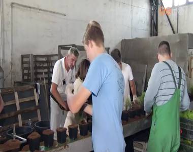 Folyamatosan v�rj�k a di�kok jelentkez�s�t a c�gek ny�ri munk�kra