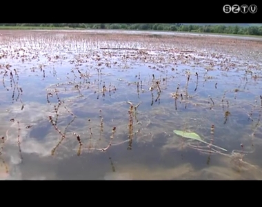 Egyeztet�s az Ab�rt-t� h�n�rosod�sa kapcs�n