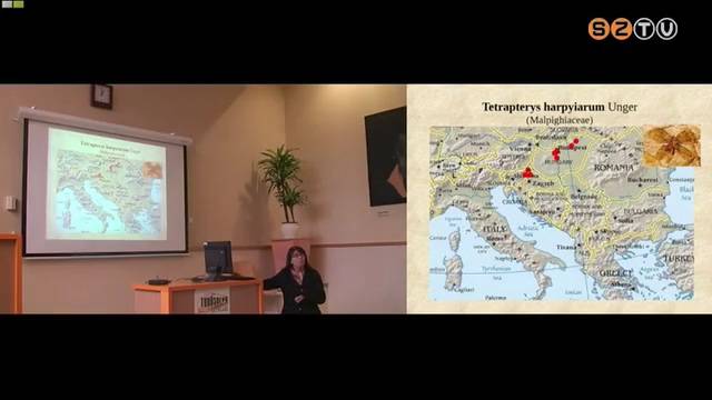 Akadémiai elismerésben részesült Szakmányné Hably Lilla Akadémiai elismerésben részesült Szakmányné Hably Lilla