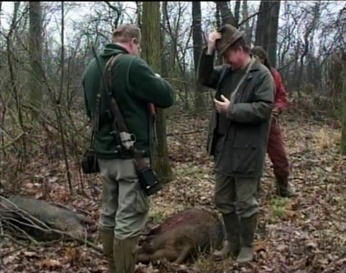 Egyre több a hazai vendégvadász Egyre több a hazai vendégvadász