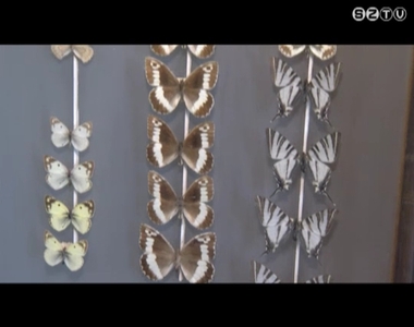 Fajfelm�r�s kezd�dik Vas, Zala �s Somogy megye Natura 2000-es ter�letein