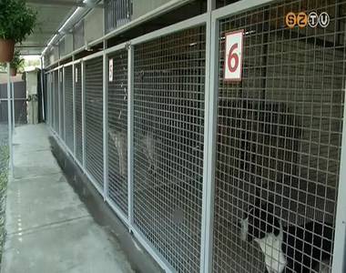 Meg�jult a gyepmesteri telep