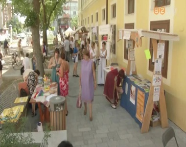 A Vas Megyei �nk�ntes Centrum �s a Civil Kerekasztal karnev�li felh�v�sai