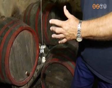 Vesz�lyes mustg�z