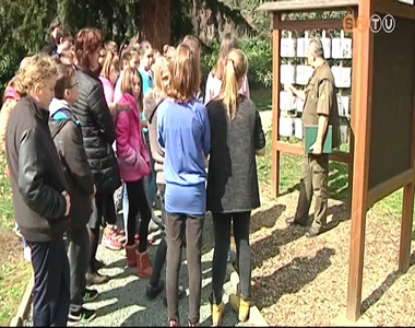 Az erd�k nemzetk�zi napj�n min�s�t� oklevelet vehetett �t a Szombathelyi Erd�szeti Zrt. St�jer-h�zi erdei iskol�ja