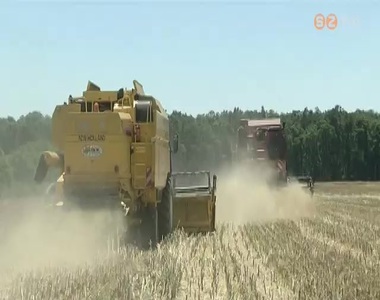 Az elmúlt évek egyik legsikeresebb aratásának ígérkezik a mostani Az elmúlt évek egyik legsikeresebb aratásának ígérkezik a mostani