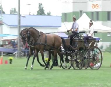 Fogathajt�k versenyeztek