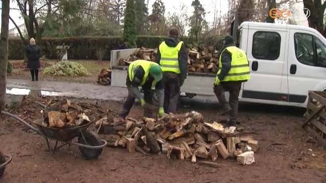 Tüzifa rászorulóknak Tüzifa rászorulóknak