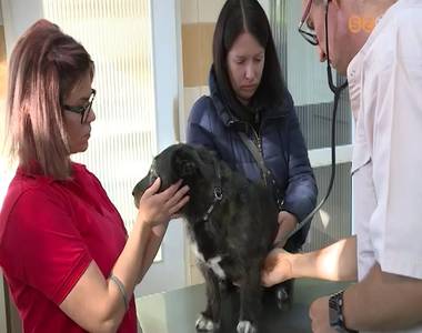 Jav�ban tart az ebolt�si szezon