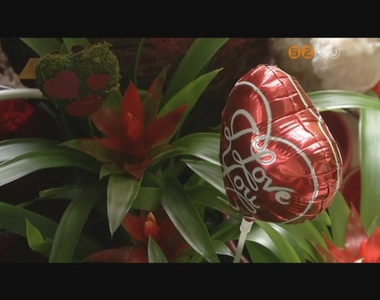 Valentin nap, a szerelmesek �nnepe