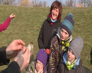 Mad�rmegfigyel� nap