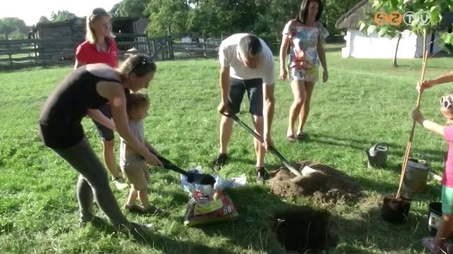 Egy éve alakult meg a 10 millió Fa környezetvédelmi szervezet Egy éve alakult meg a 10 millió Fa környezetvédelmi szervezet