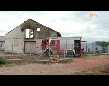 4000 pulyka pusztult el 4000 pulyka pusztult el