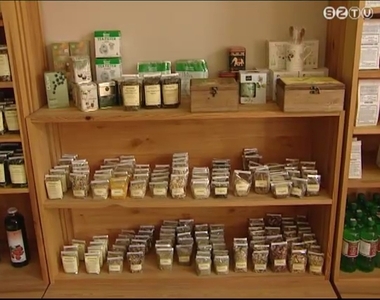 Fűben-fában orvosság? Fűben-fában orvosság?