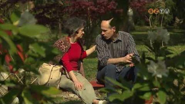 �j l�tv�nyoss�ggal b�v�lt a K�moni Arbor�tum: jap�nkertet alak�tottak ki a k�z�ps� t� sziget�n