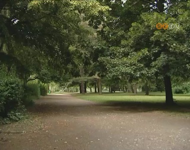 Megkezdődött a kullancsszezon Megkezdődött a kullancsszezon